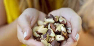 Acre inova com miniestufas na produção de castanha-do-pará