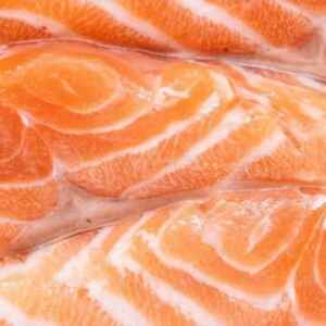 Descoberto no salmão: um ser vivo que não respira oxigênio nem possui mitocôndrias Close-up de um pedaço de salmão fresco, mostrando sua textura e cor laranja avermelhada.