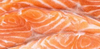 Close-up de um pedaço de salmão fresco, mostrando sua textura e cor laranja avermelhada.