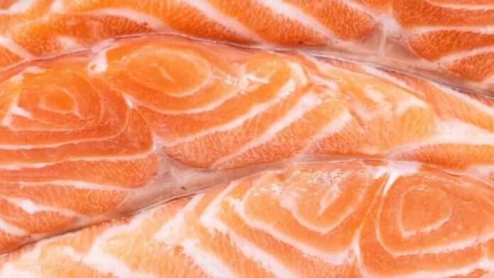 Close-up de um pedaço de salmão fresco, mostrando sua textura e cor laranja avermelhada.