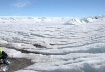 Antártida registra crescimento recorde de massa de gelo entre 2021 e 2023 Dois pesquisadores em trajes de proteção em uma paisagem de gelo na Antártida.