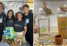 Estudantes de Sergipe criam tecnologia que purifica água com resíduos de quiabo Os estudantes celebram o reconhecimento do projeto com as professoras que fizeram a orientação