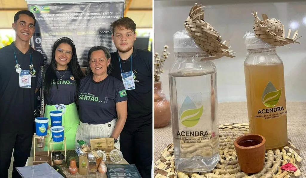 Os estudantes celebram o reconhecimento do projeto com as professoras que fizeram a orientação