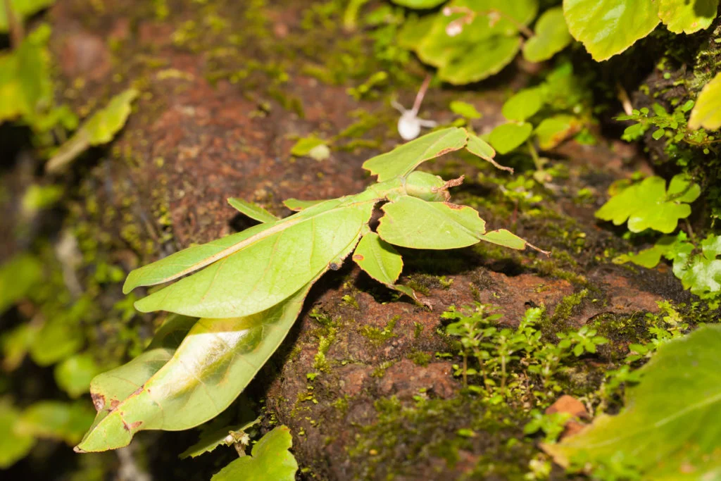 iStock 600688836 1024x683 1