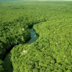 Terras protegidas na Amazônia guardam vida e memória Terras protegidas na Amazônia
