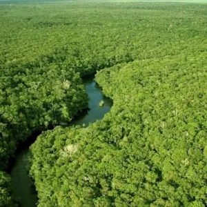 Terras protegidas na Amazônia guardam vida e memória Terras protegidas na Amazônia