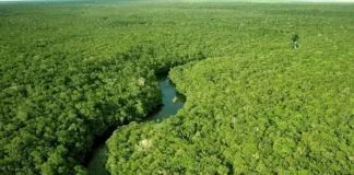Terras protegidas na Amazônia