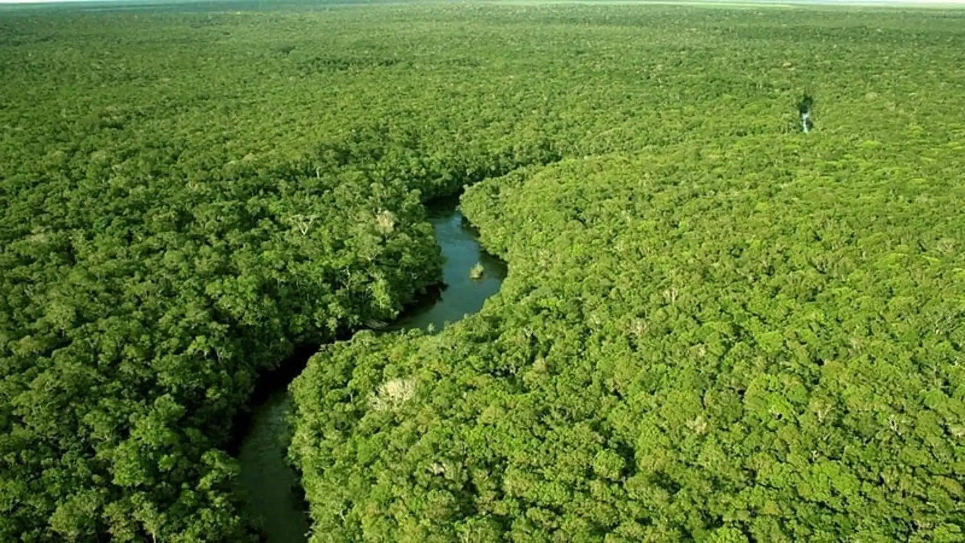 Terras protegidas na Amazônia guardam vida e memória 2 Terras protegidas na Amazônia