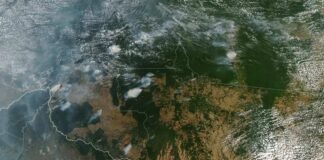 Imagem de satélite mostrando fumaça de queimadas na floresta Amazônia.