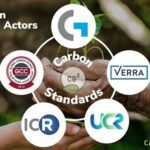 Google compra 750 mil créditos de carbono da Orizon