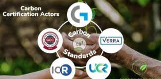 Google compra 750 mil créditos de carbono da Orizon