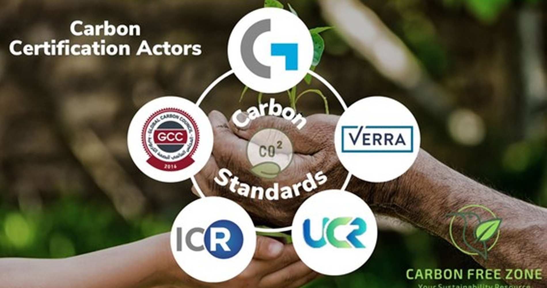 Google compra 750 mil créditos de carbono da Orizon