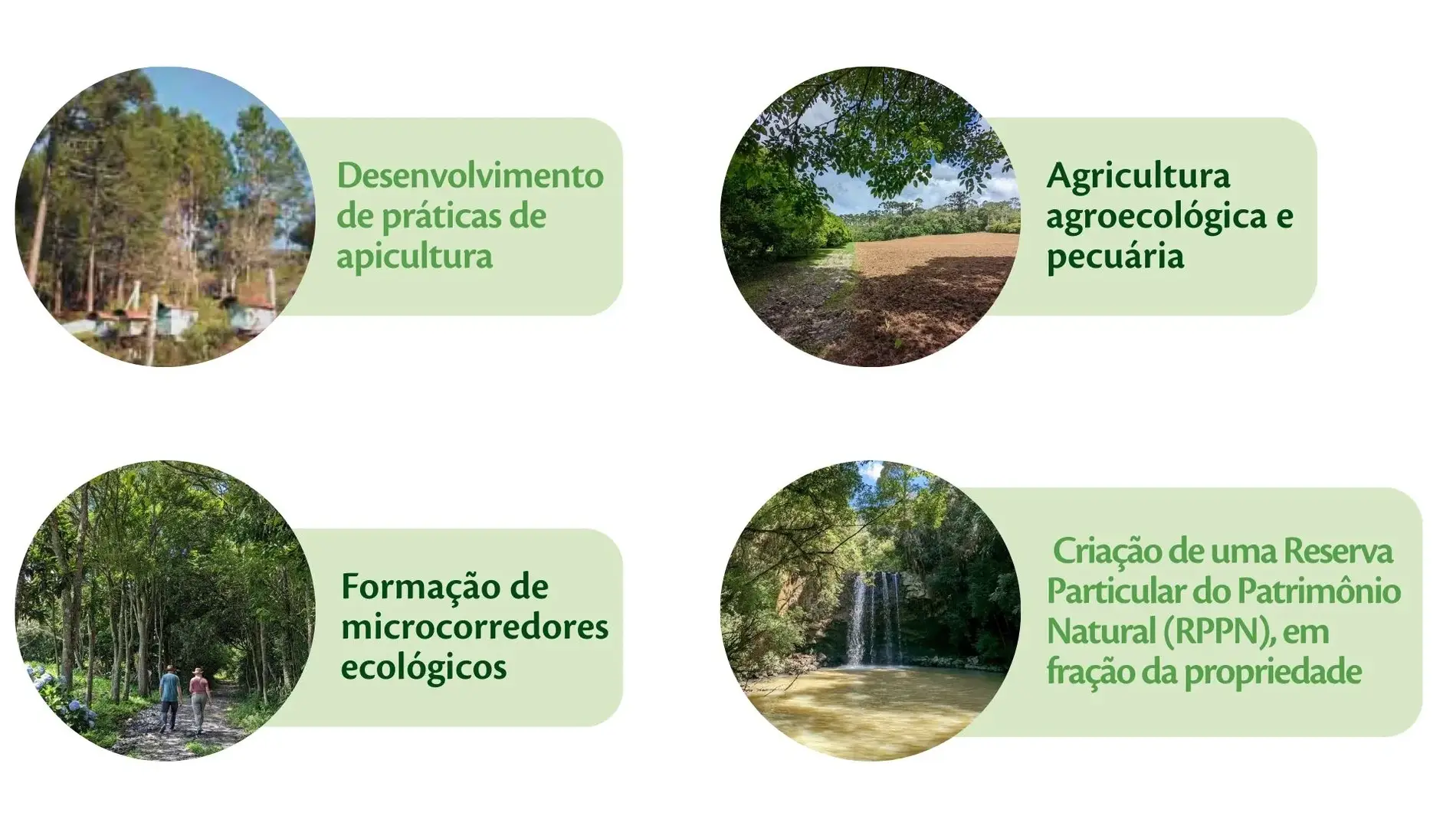 infografico-propriedade-legal1.jpg-1 Códigos naturais da floresta revelam comunicação ecológica