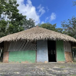 Mesa da Cura em São Miguel – Conheça os segredos medicinais da Amazônia