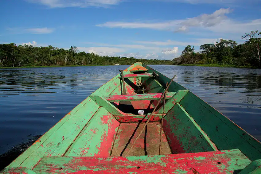 nareeta-martin-qv5qEo_R0fw-unsplash-copiar Amazôniatec e a economia circular que transforma a Amazônia