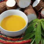 O tempero amazônico que está ganhando cada vez mais fama nos grandes restaurantes brasileiros Tucupi