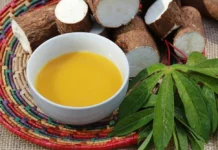 O tempero amazônico que está ganhando cada vez mais fama nos grandes restaurantes brasileiros Tucupi