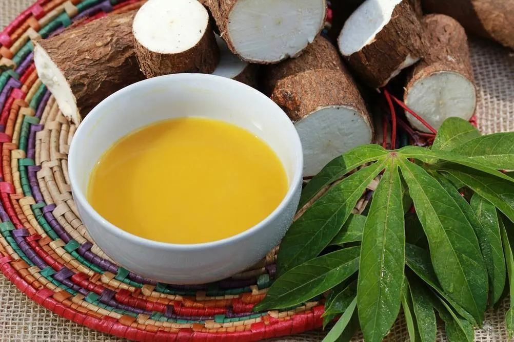 O tempero amazônico que está ganhando cada vez mais fama nos grandes restaurantes brasileiros 4 Tucupi