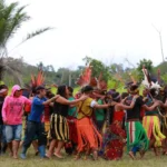 Raízes da floresta, como comunidades tradicionais protegem a Amazônia