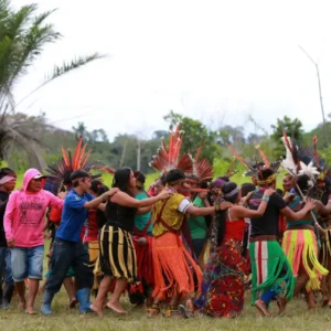Raízes da floresta, como comunidades tradicionais protegem a Amazônia
