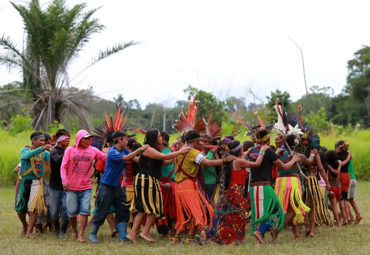 Raízes da floresta, como comunidades tradicionais protegem a Amazônia 5 photo5111634797846964354 1