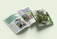 Edição 141 da Revista Amazônia: Maio de 2025