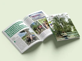 Edição 141 da Revista Amazônia: Maio de 2025