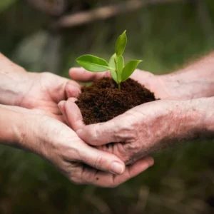 Aprender brincando: o lúdico como ferramenta de transformação sustentável