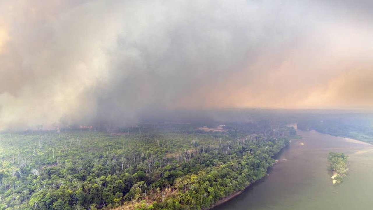 Vista aérea de uma floresta em chamas, com fumaça subindo densamente e um rio sinuoso em primeiro plano.