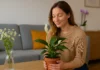 6 flores certas para cada cômodo segundo o Feng Shui, e o que evitar 6 flores certas para cada cômodo segundo o Feng Shui, e o que evitar