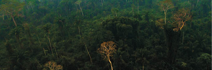 A_Amaz_nia_ainda_est__secando Aumento das chuvas na estação seca em partes da floresta amazônica