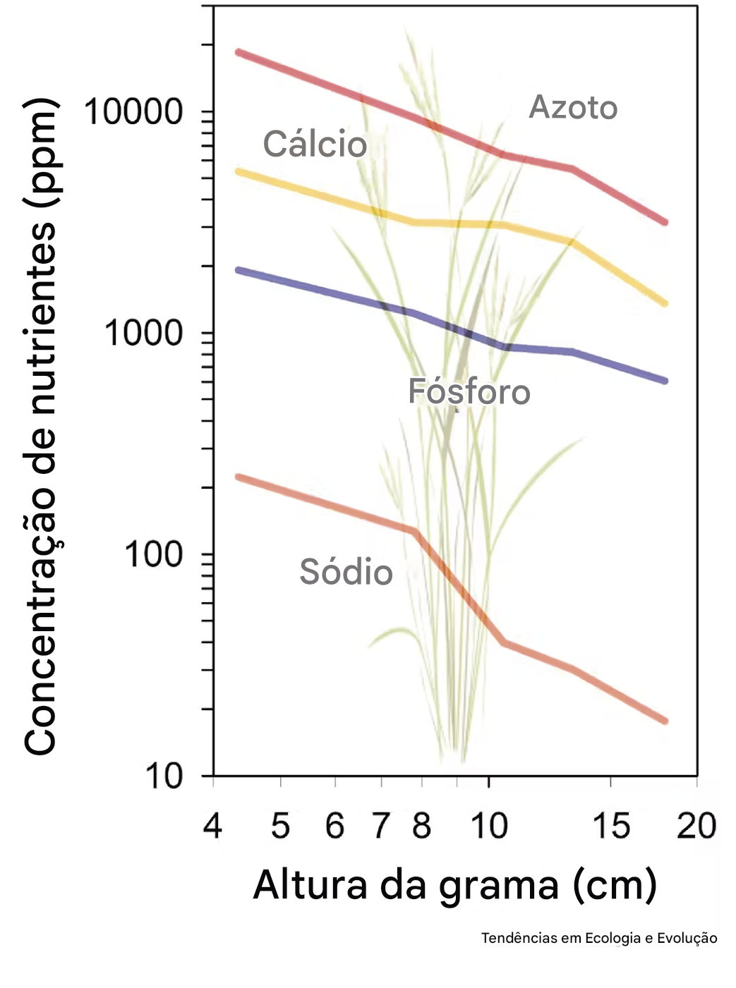 As alterações climáticas estão tornando as plantas menos nutritivas 2 A grama de uma pradaria de capim alto no Kansas mostra n veis de nutrientes na planta diminuindo medida que ela cresce de maio a setembro