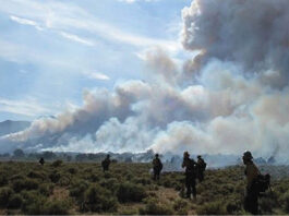 A proliferação de incêndios florestais depende, em última análise, do clima e da disponibilidade de combustível. O incêndio Elkhorn 2 de 2008, no centro de Nevada, visto aqui, começou como um incêndio controlado, mas saiu do controle, queimando quase 1.619 hectares fora dos limites do projeto