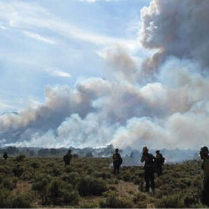 Condições favoráveis para incêndios florestais A proliferação de incêndios florestais depende, em última análise, do clima e da disponibilidade de combustível. O incêndio Elkhorn 2 de 2008, no centro de Nevada, visto aqui, começou como um incêndio controlado, mas saiu do controle, queimando quase 1.619 hectares fora dos limites do projeto