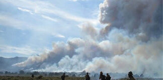 A proliferação de incêndios florestais depende, em última análise, do clima e da disponibilidade de combustível. O incêndio Elkhorn 2 de 2008, no centro de Nevada, visto aqui, começou como um incêndio controlado, mas saiu do controle, queimando quase 1.619 hectares fora dos limites do projeto