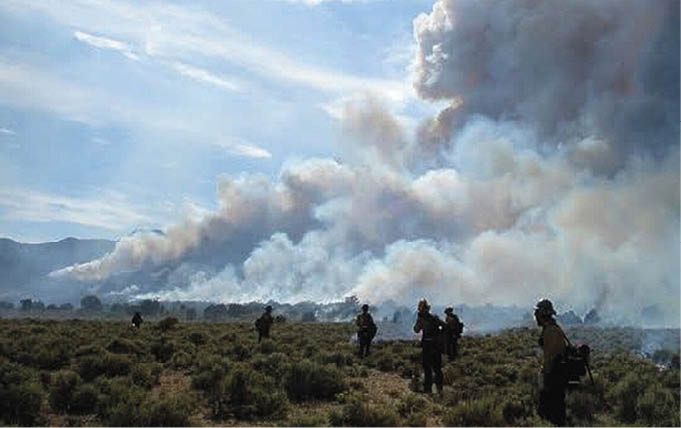 Condições favoráveis para incêndios florestais 5 A proliferação de incêndios florestais depende, em última análise, do clima e da disponibilidade de combustível. O incêndio Elkhorn 2 de 2008, no centro de Nevada, visto aqui, começou como um incêndio controlado, mas saiu do controle, queimando quase 1.619 hectares fora dos limites do projeto