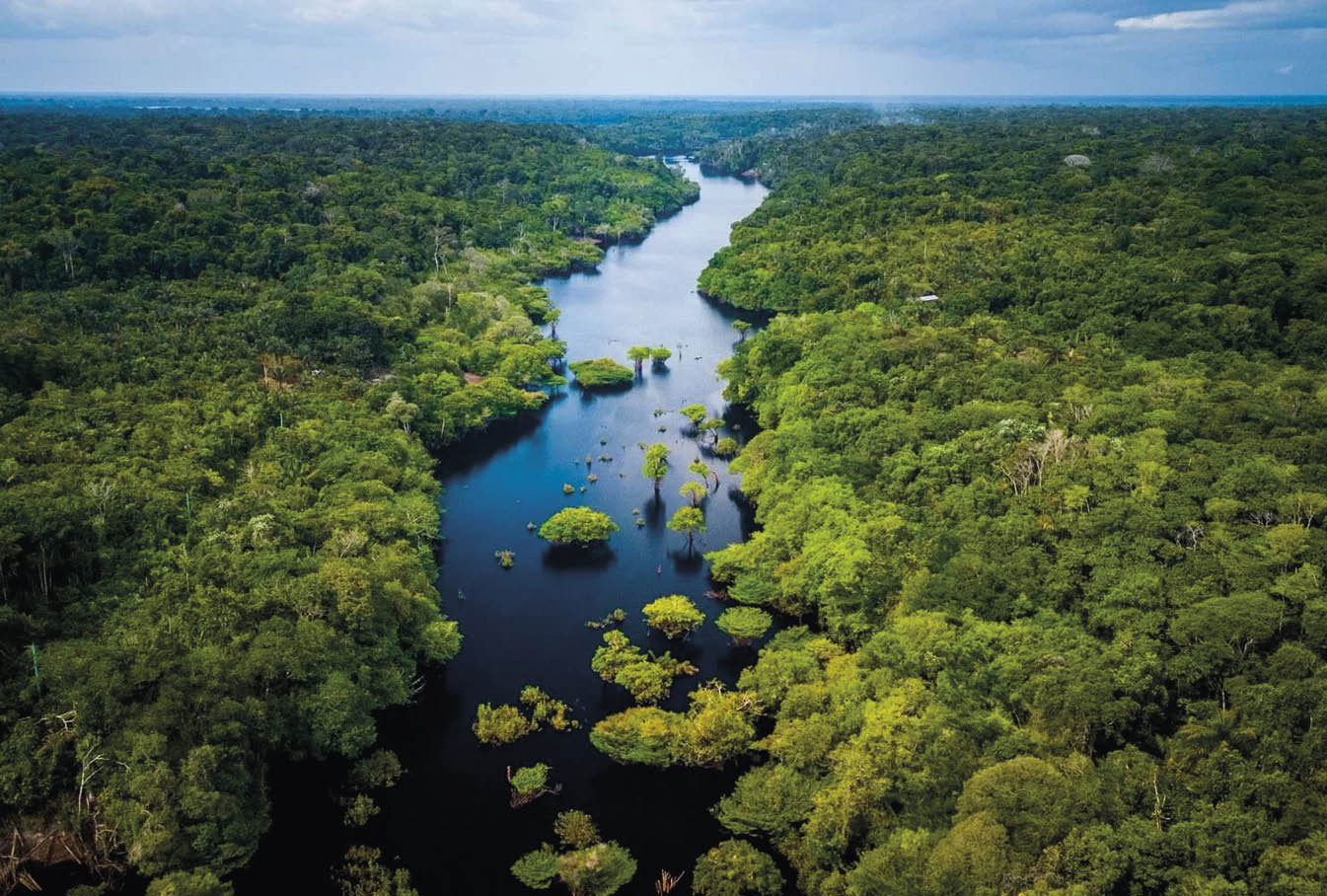 Floresta Amazônica se adapta à seca prolongada, (mas com um custo) perde estoques vitais de carbono 3 Amazônia