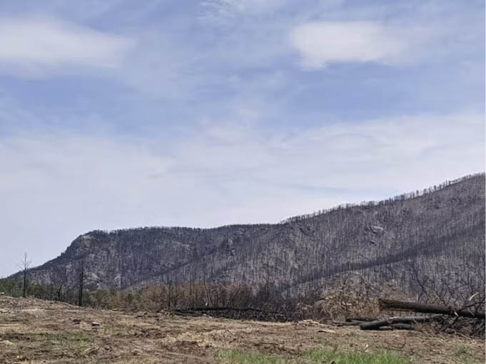 Ap_s_as_encostas_das_montanhas_queimarem_a_chuva_que_cai_sobre_elas_carrega_cinzas_solo_carbonizado_e_ Legado de incêndio florestal pode assombrar os rios por anos
