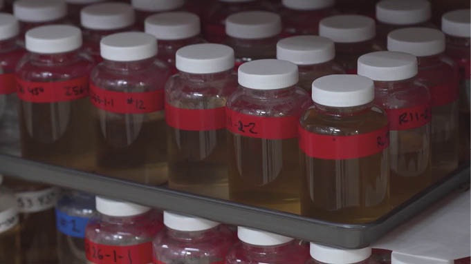 Cientistas_explicam_como_inc_ndios_florestais_podem_contaminar_o_abastecimento_de_ Legado de incêndio florestal pode assombrar os rios por anos