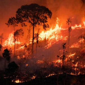 O planeta, vai ficar ainda mais quente Consequências das mudanças climáticas