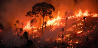 Consequências das mudanças climáticas