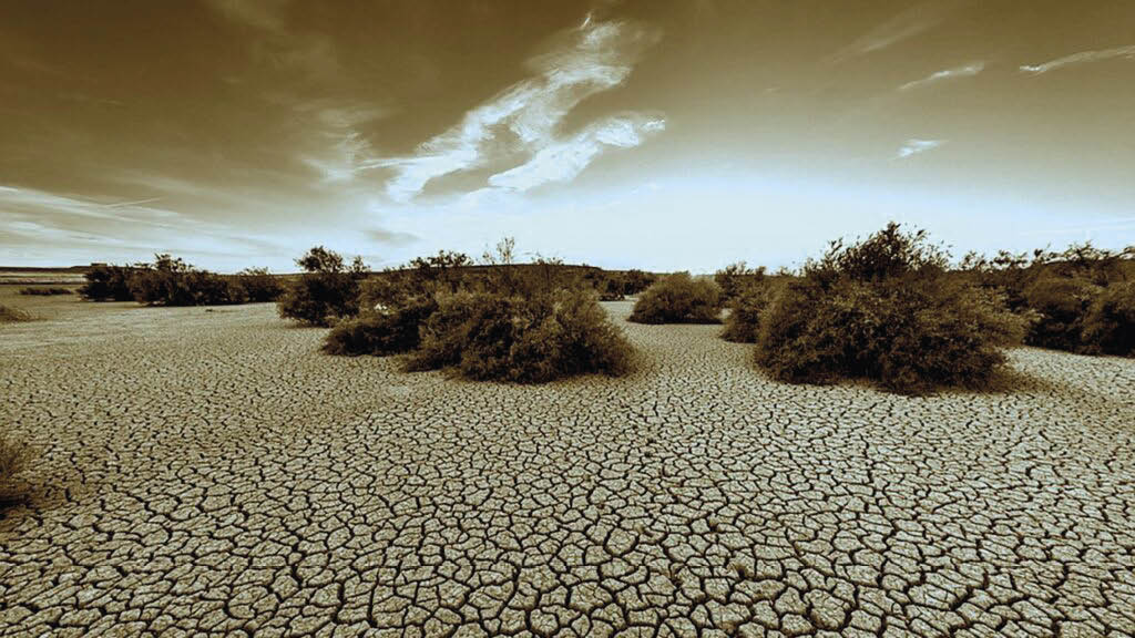 Ecossistemas em climas continentais e úmidos são mais afetados por ondas de calor e secas do que aqueles em áreas mediterrâneas