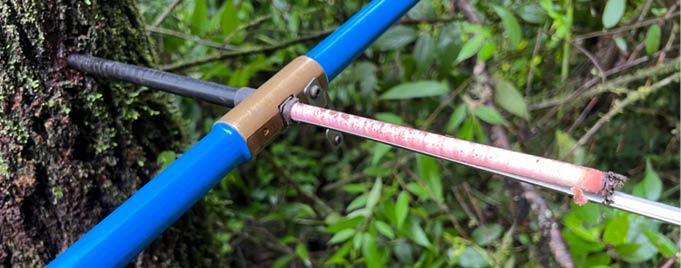 Extração de amostra de anéis de crescimento de uma árvore