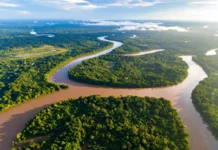 Rios voadores: a umidade da Amazônia viaja pelo continente, alimentando chuvas vitais para a agricultura e o abastecimento de água