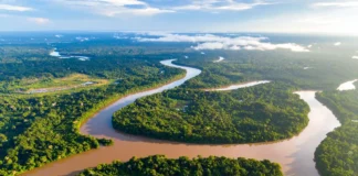 Rios voadores: a umidade da Amazônia viaja pelo continente, alimentando chuvas vitais para a agricultura e o abastecimento de água