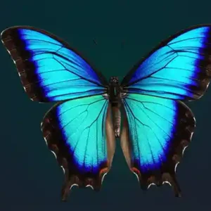 A beleza iridescente da borboleta Morpho.