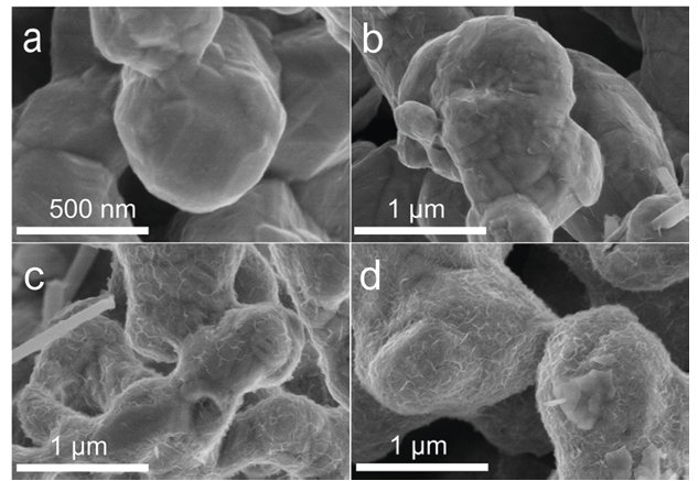 Imagens SEM dependentes do tempo de Co@ZnO nos experimentos temporais de metanação de CO 2 por Zn e Co sob condições hidrotérmicas