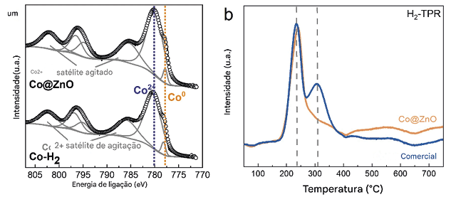 Manutenção de Co em um estado de valência zero no sistema hidrotérmico Zn-Co