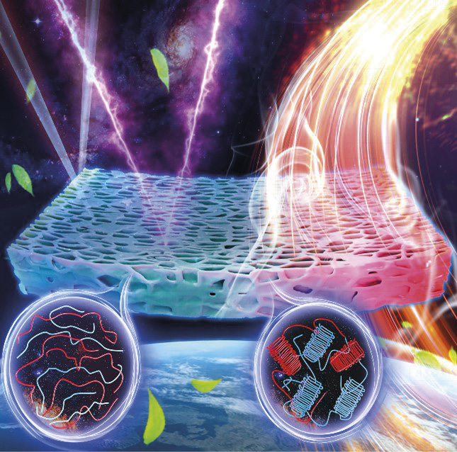 Película bioplástica resfria edifícios 6 Metafilme bioplástico desenvolvido por pesquisadores da UniSA e da Universidade de Zhengzhou, proposto como um material de próxima geração para resfriamento sustentável