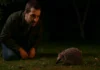O que fazer ao encontrar um ouriço no seu jardim à noite Nem pense em tentar tocá-lo